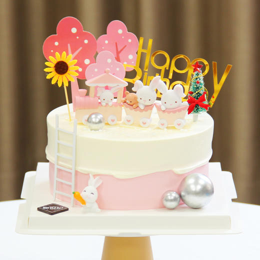 【儿童节专款】可爱兔兔（自提返红包） 商品图0