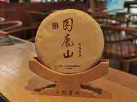 困鹿山古树2019年