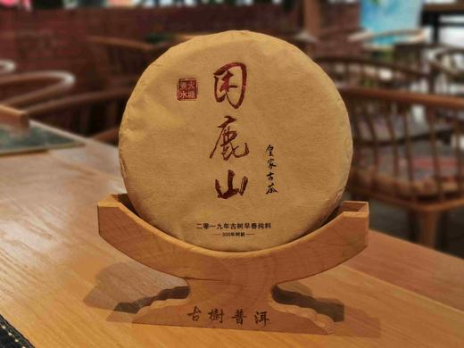 困鹿山古树2019年 商品图0