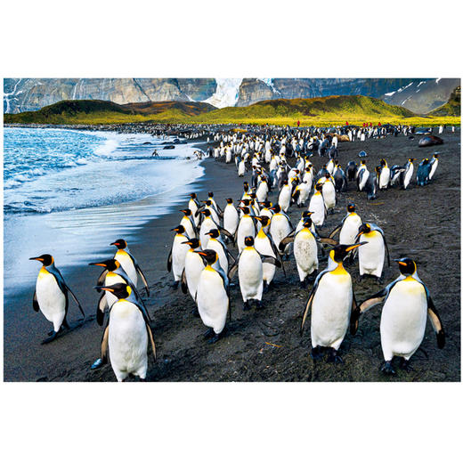 寻美南极——传奇摄影师边走边拍系列（限量签名本） 商品图2