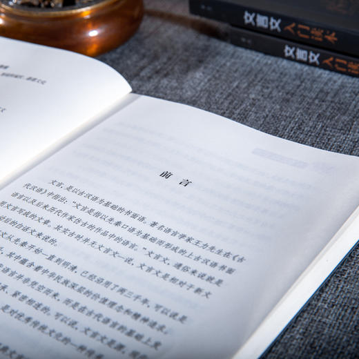 文言文入门读本（全三册），快速培养孩子阅读古文能力，提升孩子应试能力 商品图5