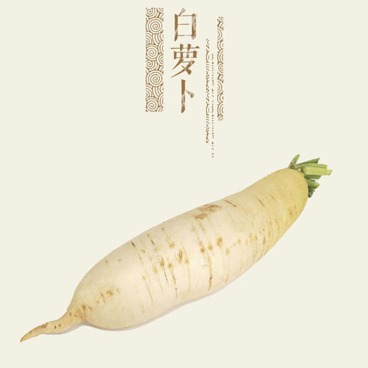 【预定】白萝卜500g@张家口酵素农场 商品图0