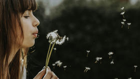 为什么你总是没有安全感？【心理学的小锦囊-1】