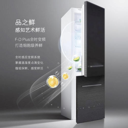 卡萨帝（Casarte）冰箱BCD-251WAQU1 商品图3