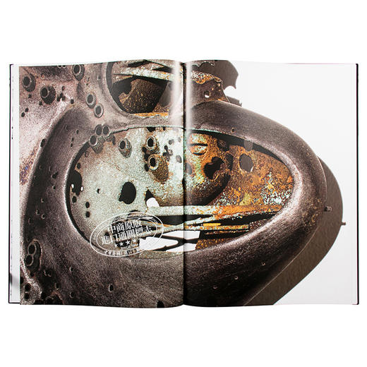 预售 【中商原版】Strange Networks 进口艺术 汤姆梅恩建筑设计集 Rizzoli 商品图7