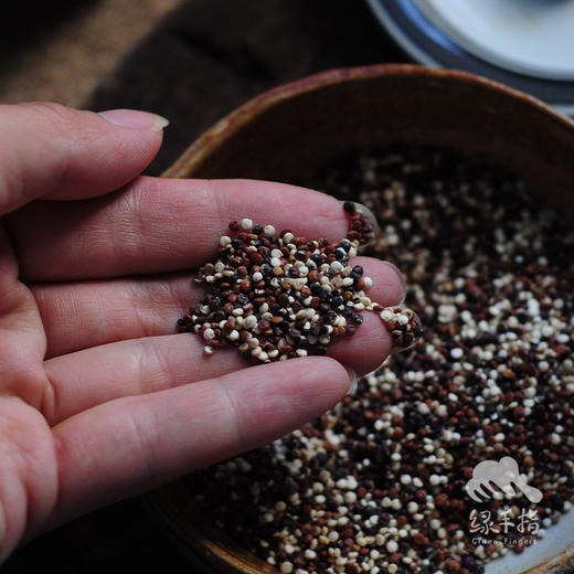 生态藜麦 | 合作生产 *Eco quinoa  | Coproduction 商品图2