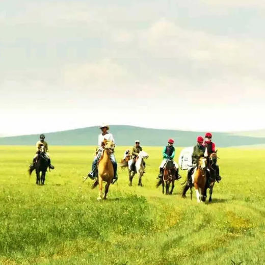 【呼伦贝尔】房车亲子营，化身蒙古小勇士，开启森林探险记，私家牧场星空晚宴，4岁起报！ 商品图5