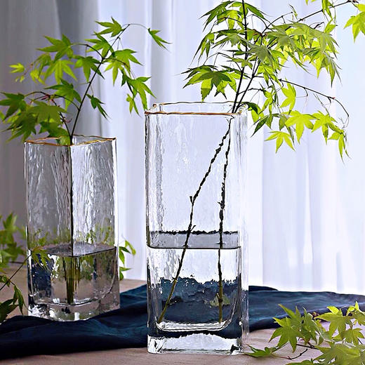 北欧创意现代简约 25Cm方形玻璃花瓶 商品图0