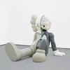 Kaws-Reasting Place 商品缩略图0