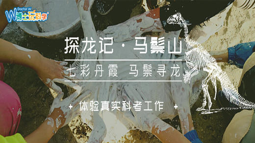 【北京】中国古动物馆--一带一路探龙记|大型古生物野外科考-敦煌 商品图0