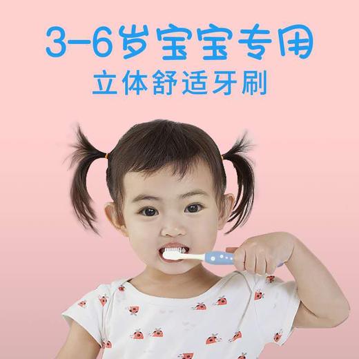 健俪康(Zennlab)儿童牙刷立体舒适细尖软毛清洁小头刷毛刷牙缝双支装3-12岁 一套2支装 商品图3