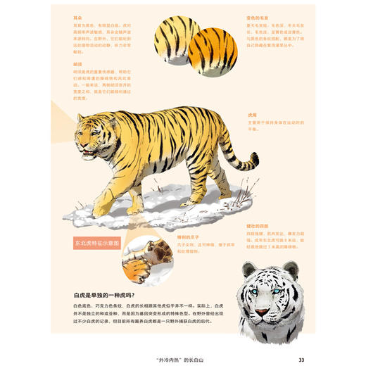 东北 冰火黑土地 商品图4