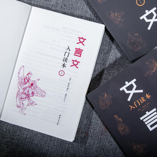 文言文入门读本（全三册），快速培养孩子阅读古文能力，提升孩子应试能力 商品图4