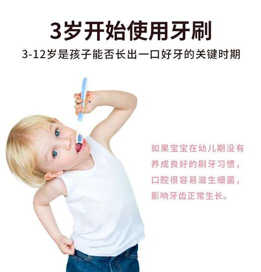 健俪康(Zennlab)儿童牙刷立体舒适细尖软毛清洁小头刷毛刷牙缝双支装3-12岁 一套2支装 商品图6