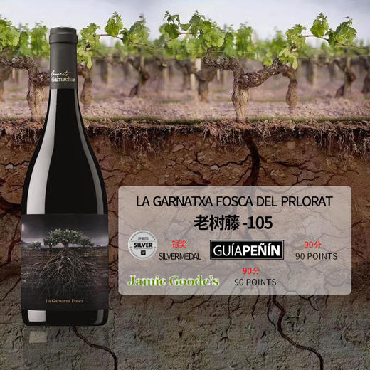 西班牙2014老树藤105干红 商品图2