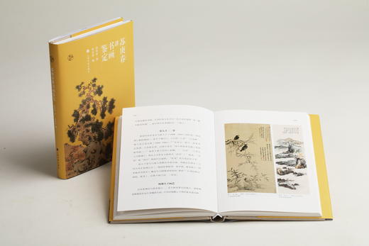 鉴真馆·苏庚春讲书画鉴定 商品图1