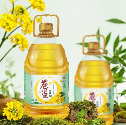 不饱和脂肪酸92.8% 生态芥花油 4L/瓶 商品图0