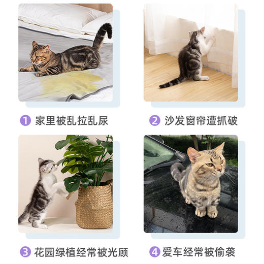 道力其禁区喷剂500ml驱猫剂 防止狗狗乱咬驱赶诱导喷剂 驱猫喷雾 商品图4