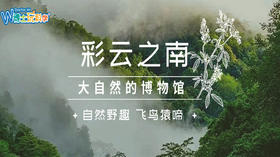 【云南】亲子科考|版纳+腾冲线