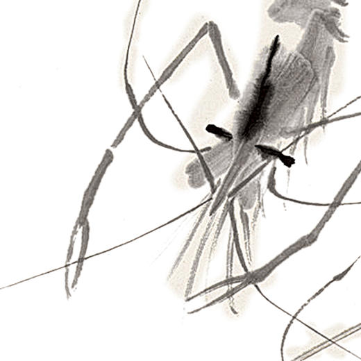 齐白石虾趣图 商品图2