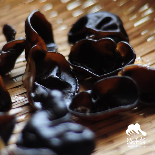 生态椴木黑木耳 | 合作生产 *Ecological basswood agaric | Coproduction 商品图8