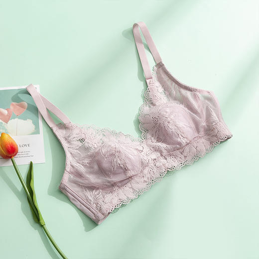 TG-TG02S103春夏真丝无钢圈文胸 蕾丝性感薄款大胸桑蚕丝内衣透气 商品图6