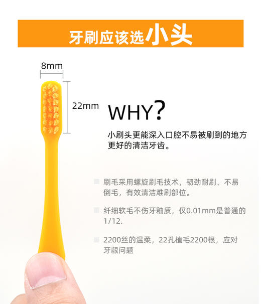 日本进口Ci炫彩中毛牙刷 商品图2