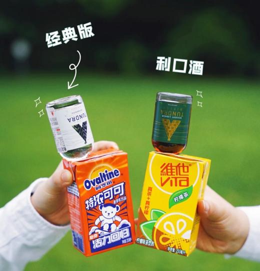 俄罗斯进口 极北苔原伏特加 250ml 洋酒vodka 烈酒 鸡尾酒 多口味 商品图4