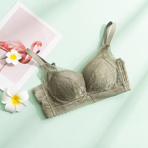 TG-TG02S109真丝无钢圈文胸 蕾丝性感桑蚕丝内衣 薄款收副乳透气 商品图5