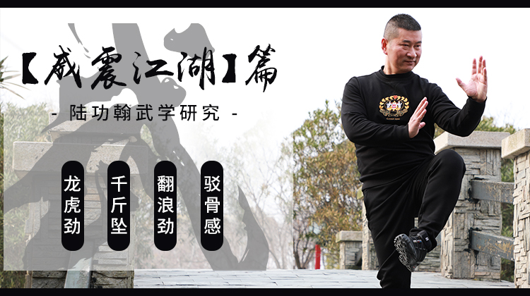 【威震江湖】专栏-陆功翰武学研究