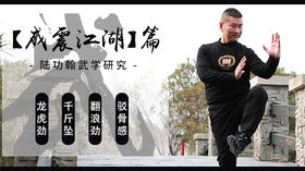 【威震江湖】专栏-陆功翰武学研究