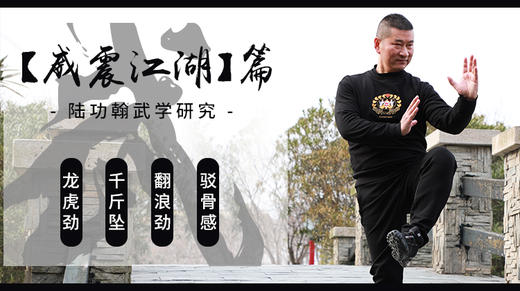 【威震江湖】专栏-陆功翰武学研究 商品图0