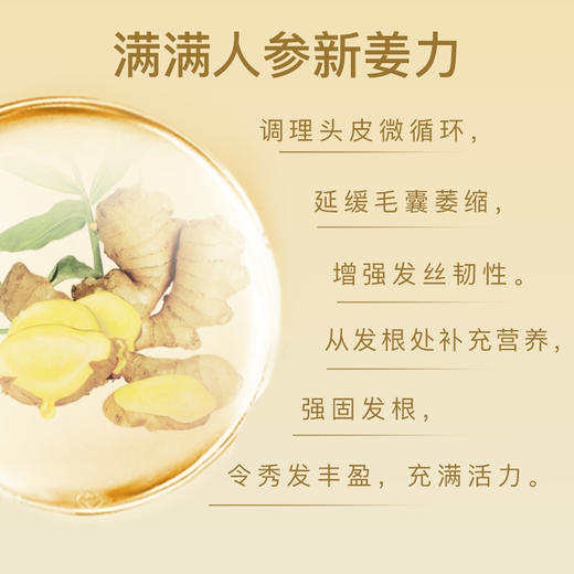 舒蕾参姜养根健发洗发露500ml/800ml赋活强韧唤醒毛囊 商品图3