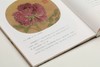 寓兴：花木的图像史｜王中旭 著｜花鸟画-绘画史-研究-中国 商品缩略图6