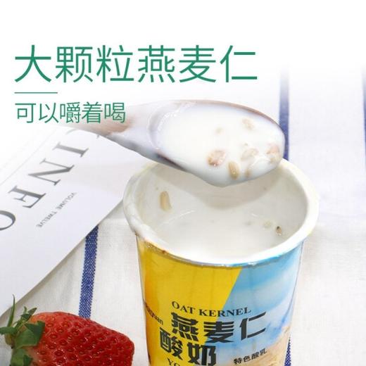 新疆瑞缘燕麦仁酸奶【180g*12杯】 商品图1