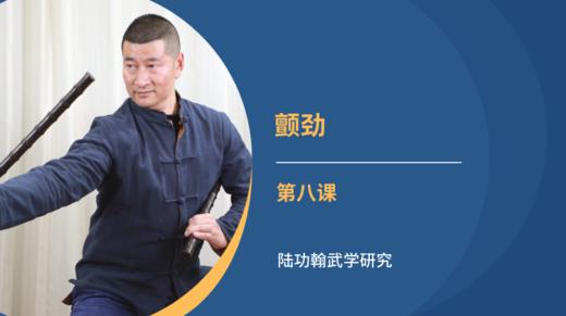 第八课-颤劲 商品图0