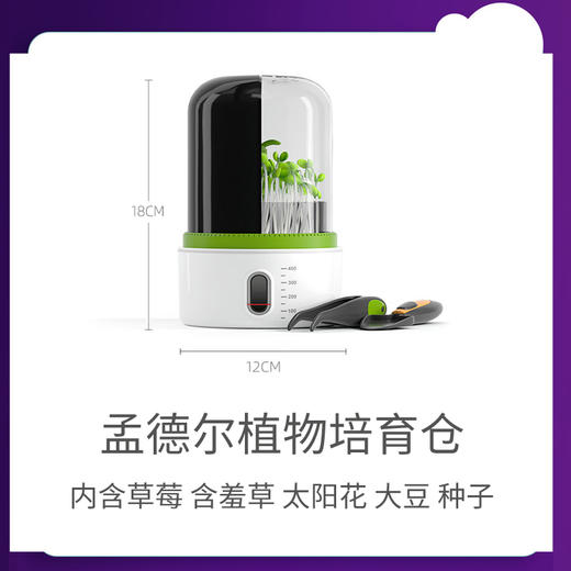【水培土培，见证植物生长】科学实验罐头培育舱儿童种植物盆栽套装小学生器材steam益智玩具豆芽机 商品图5