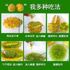 湛江火参果 商品缩略图4