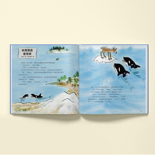 《我的野生动物朋友》（全4册） 商品图3