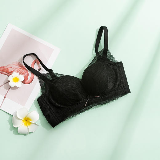TG-TG02S109真丝无钢圈文胸 蕾丝性感桑蚕丝内衣 薄款收副乳透气 商品图6