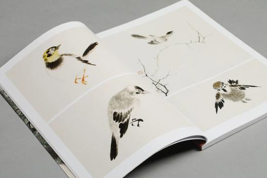 大师课堂系列：江寒汀花鸟技法图解｜苏小松 苏文轩 编著 江寒汀 绘| 商品图1