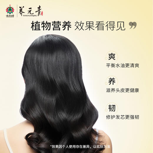 【洗发水】云南白药养元青生姜小养洗发露强根健发500ml大瓶装洗发水l大瓶装无硅油 商品图1