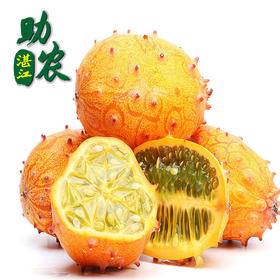 湛江火参果