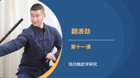 第十一课：翻浪劲