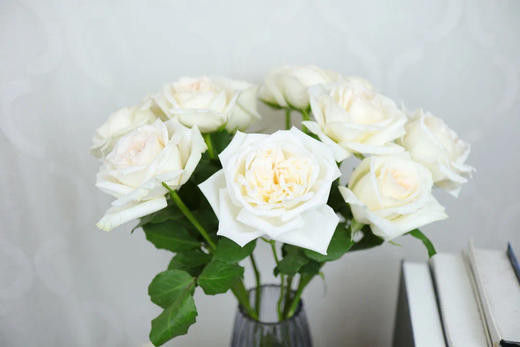 白色荔枝玫瑰一扎10支一股荔枝的香味