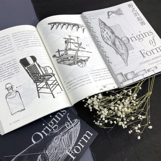 复杂生命的起源+形式的起源 两册套装 自然科学 万物设计法则 第十六届文津奖科普类推荐图书 商品图3