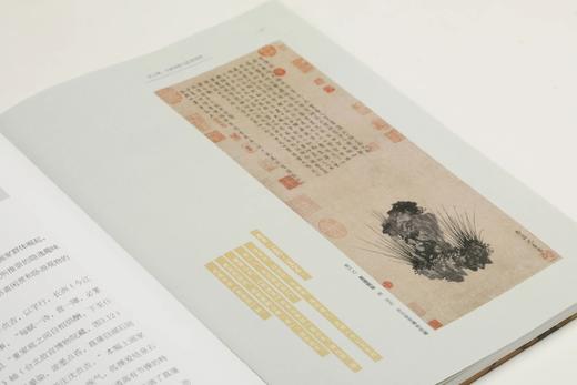 寓兴：花木的图像史｜王中旭 著｜花鸟画-绘画史-研究-中国 商品图8