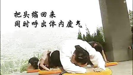 道家固精锁阳秘法电子书版 商品图0