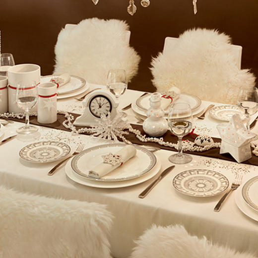 villeroyboch德国唯宝骨瓷餐具碗碟盘子菜盘家用骨瓷白色古典康图 商品图3