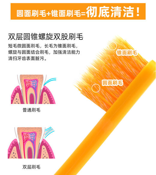 日本进口Ci炫彩中毛牙刷 商品图1